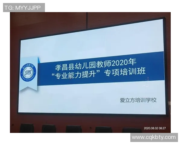 杭州排球队个人能力分析与提升策略探讨