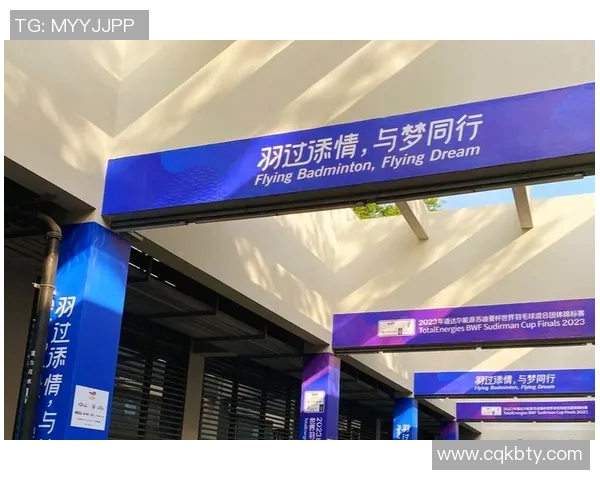 深圳羽毛球队与成都羽毛球队赛后复盘分析灵活性表现及战术调整探讨